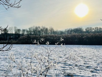 Winterlandschaft mit Sonnenschein