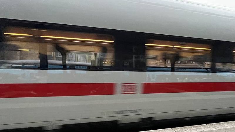 Haustiersuche