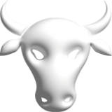 Stier